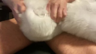 Cum with white fur