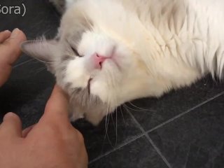 男の足【素人】