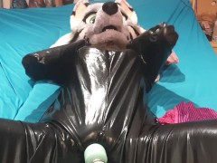 Bitchsuit teasing - Screenshot 9 of 16 - Frayaporn