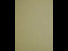 Chubby white girl gets anal