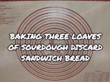 Baking Three Loaves of Sourdough Discard Sandwich Bread - Rushed Out Edition