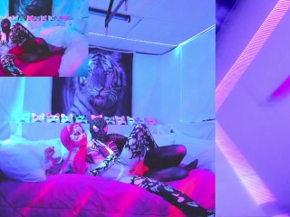 Spider-Gwen Anti-Gwen Blowjob Squirting Fucked by Spiderman live show