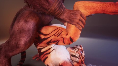 [Pet Fetish] Minotaur Cums à l’intérieur d’un garçon tigre après s’être assis sur son visage | Furry la vie sauvage