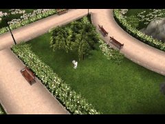 Random guys fucking outdoor on the park!?