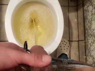 Urinant POV Bite D’étalon