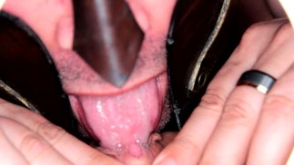 Pussy Feast 300 SPARTAN Сегодня вечером мы ужинаем на Pussy - Alara