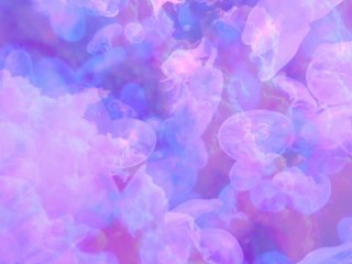 Welcoming Change (guided journaling)