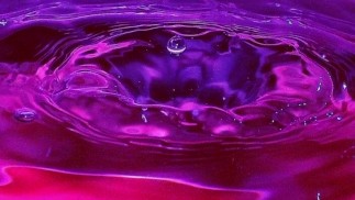 Самое большее, что вы можете сделать для мира (управляемое ведение дневника)