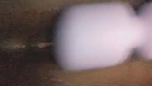 Wet pussy masturbation toy