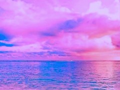 Highest Vision: Creative Evolution (guided journaling) - Screenshot 16 of 16 - High