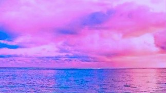 Высшее видение: Творческая эволюция (ведение дневника)