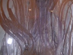 Me taking a shower while hubby films. Watch till end for a special message!