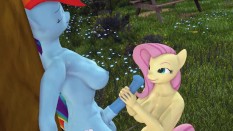 pony 2