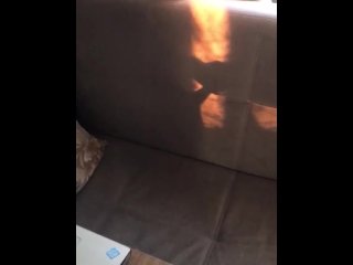 Sunkissed dick