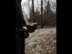 Public jerk off in the forest 