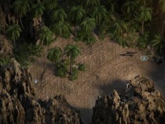 Treasure Of Nadia NLT-Media: Golden Teddy And Palm Leaf-Ep187
