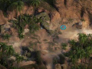 Treasure Of Nadia NLT-Media: Golden Teddy And Palm Leaf-Ep187