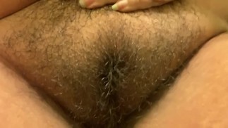 毛茸茸的猫 bbw 胖猫剃须