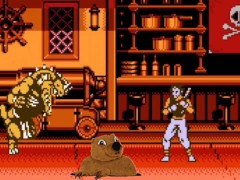 Ninja turtles nes