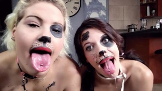 2 slaves pant and drool like dogs | humiliating