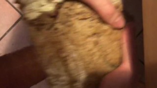 Fucking a loaf of Bread porn video thumbnail