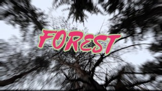 冬季森林2