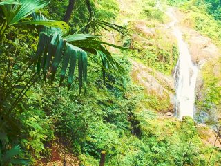 Shooting my Content in Paradise!