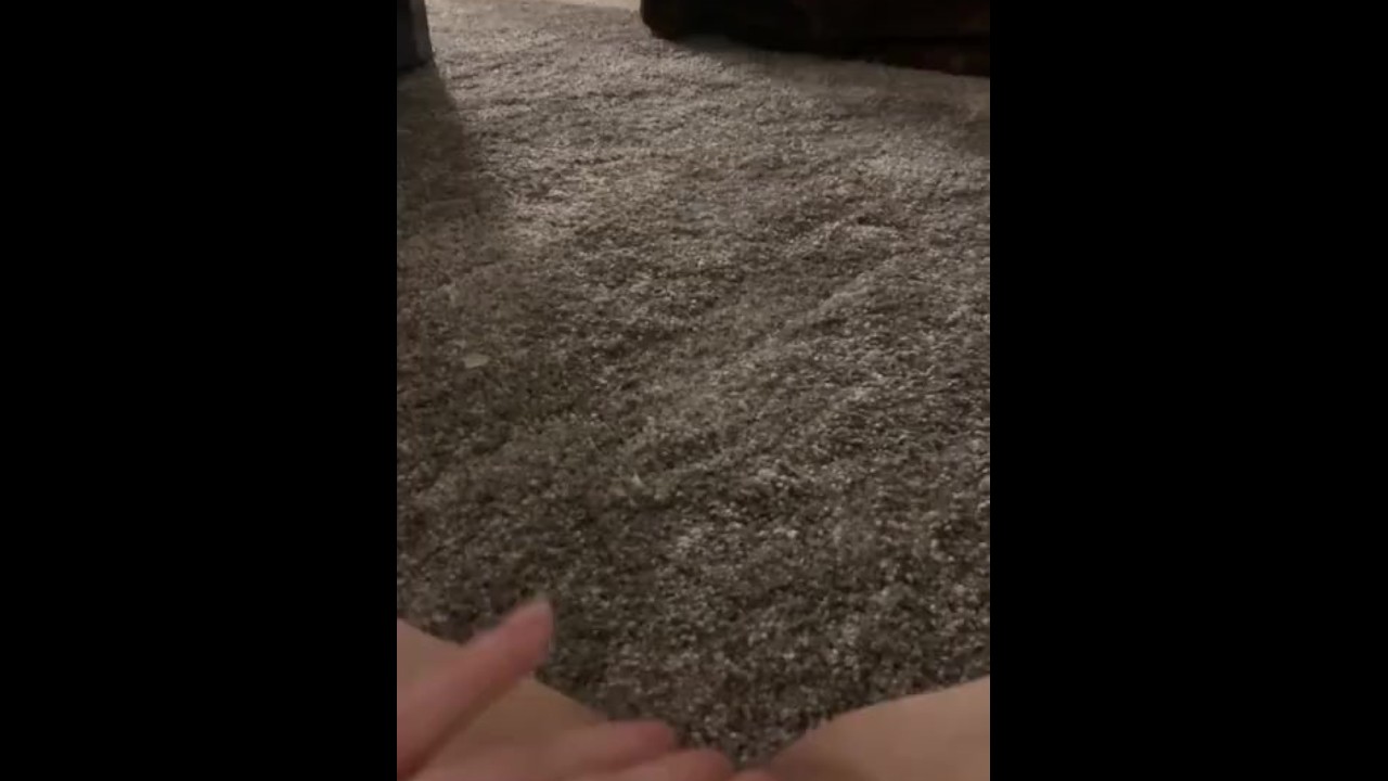 Inaugurate my new Carpet with a Thick Stream of Piss - Pornhub.com