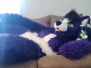Preview 1 of A Little Alone Time - Solo Fursuit Petting and Rubbing - Solo Female - Low Volume