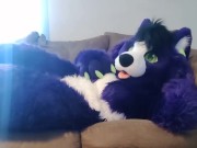 Preview 3 of A Little Alone Time - Solo Fursuit Petting and Rubbing - Solo Female - Low Volume