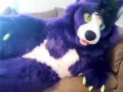 Preview 6 of A Little Alone Time - Solo Fursuit Petting and Rubbing - Solo Female - Low Volume