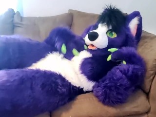 Um Pouco De Tempo Sozinho - Solo Fursuit Acariciando e Esfregando - Solo Feminino - Volume Baixo