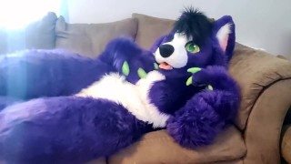A Little Alone Time Solo Female Low Volume Solo Fursuit Petting And Rubbing
