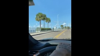 Miami vibra