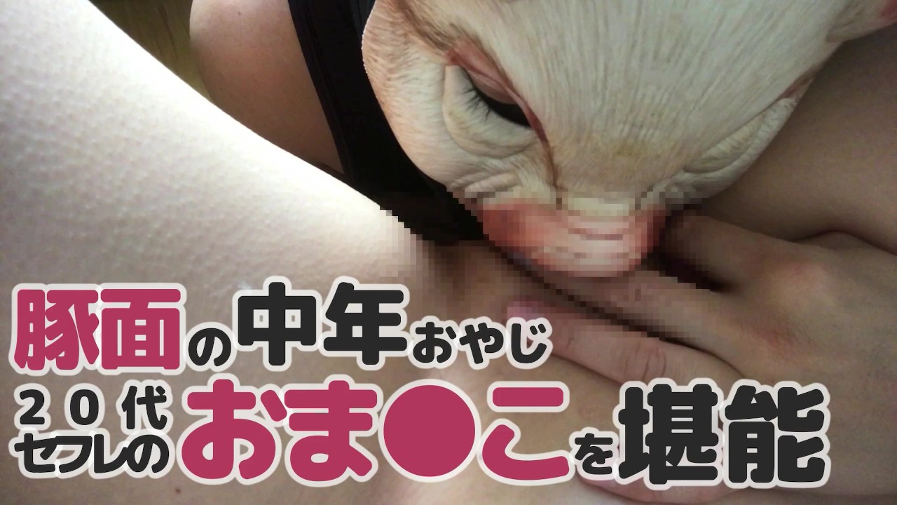 dog licking teen pussy 