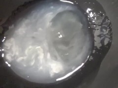 オナ禁直後の濃厚精子をオタマに大量射精し、精子の質感を楽しむ変態君。 - Screenshot 9 of 16 - Hentai Semen