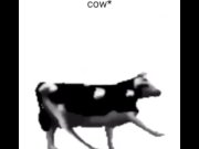 Preview 2 of English polish cow dancing (reprised by me)
