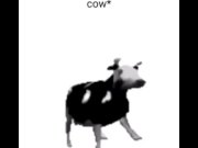 Preview 4 of English polish cow dancing (reprised by me)