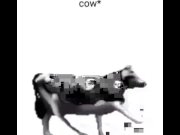 Preview 5 of English polish cow dancing (reprised by me)