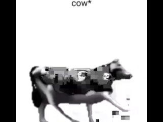 English Polish Cow Dancing (reprised by Me)