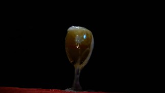 Wine Glass Overflows from Strong Urine Stream Drink Up!