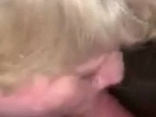 suck that cock, blonde, milf, dick licking