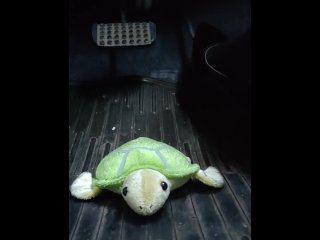 女装者が亀のぬいぐるみを黒パンスト脚エナメルパンプスで踏みつけながら車を運転するペダルパンピング