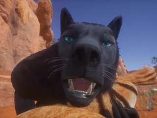 Дикая жизнь тигра пушистая девушка с Wolf (пушистая девушка от первого лица)