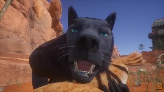 POV Of A Wild Life Tiger Furry Girl And A Wolf Furry Girl