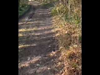 Caught naked in woods twice by cyclists