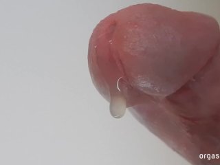 Cumshot Compilation - The Best Male Orgasm Demonstration