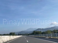 My Co Worker Asked Me To Have A Quick Foreplay and Get An Orgasm While Driving - Screenshot 1 of 16 - Kantutan