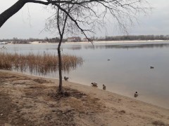 Ukraine, Kyiv, today the war is not heard