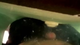 免提暨公共游泳池